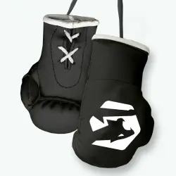 Black Boxing Gloves